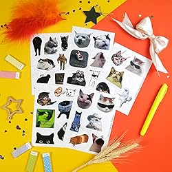 BulbaCraft 100Pcs Cat Meme Stickers - Funny Cat