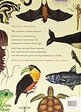 Image de Animalium (Welcome To The Museum)