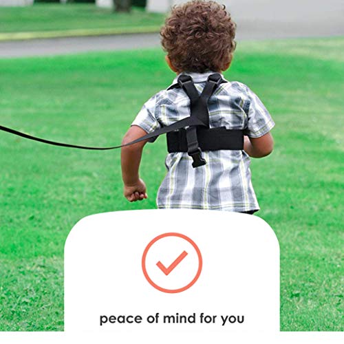 2 Diono+Steps+Child+Harness+Children