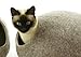 Kivikis Cat Bed, House, Cave, Nap Cocoon, Igloo, 100% Handmade from Sheep Wool (XL 17-26 pounds cat, Dark Gray) (L for 6-8 kg,12-18 pounds cat, Sand Brown)