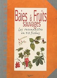 Baies & fruits sauvages