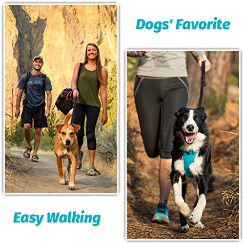 FAIRWIN Braided Leather Dog Training Leash 6 Foot - 5.6 Foot Military Grade Heavy Duty Dog Leash for Large Medium Small… - Image 7