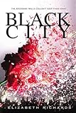 Black City (Black City Chronicles, Book 1)