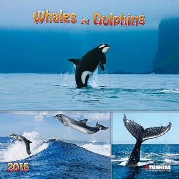 Whales and Dolphins 2015 (Wonderful World) Whales and Dolphins 2015 (Wonderful World)