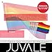 12 Pack Mini Rainbow Flags for LGBTQ Gay Pride Parade, Small Handheld Flag on Stick for Mardi Gras, 11.7 in