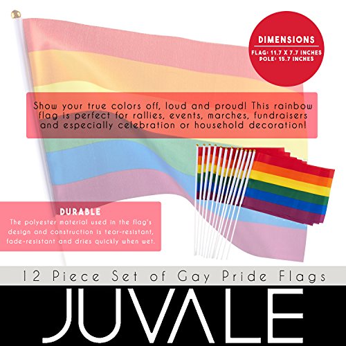 3 Juvale+Piece+Set+Pride+Flags