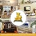 Bwinka 2019 Golden FengShui Pig with Lucky Coins Feng Shui Decoration for Luck & Wealth Perfect for Your Home or Office