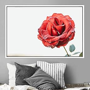 signwin Framed Canvas Wall Art Red Flower Closeup...