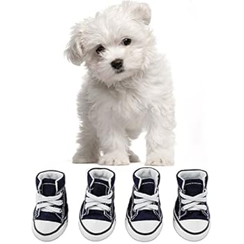 Resultado de imagen de dog shoes
