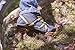 Xero Shoes DayLite Hiker - Men's Barefoot-Inspired Minimalist Lightweight Hiking Boot - Zero Drop Trail Shoe
