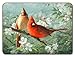 Jason Garden Birds Placemats - Set of 4 (Large)