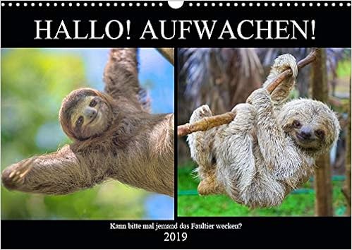 Hallo! Aufwachen! Kann bitte mal jemand das Faultier wecken? (Wandkalender 2019 DIN A3 quer): Abhängen! Das ganzes Leben lang! (Monatskalender, 14 Seiten ) (CALVENDO Tiere) Hallo! Aufwachen! Kann bitte mal jemand das Faultier wecken? (Wandkalender 2019 DIN A3 quer): Abhängen! Das ganzes Leben lang! (Monatskalender, 14 Seiten ) (CALVENDO Tiere)