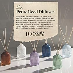 Paddywax Petite Collection Scented Oil Reed