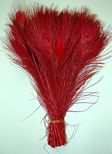 KOLIGHT Fashion 10~12inch(25~30cm) Natural Dyed Peacock Feathers DIY Wedding Party Home Hair Decoration Feathers (25pcs, Red)