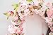 Nearly Natural 4783 Cherry Blossom Wreath, 24-Inch, Pink