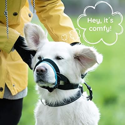 gentle muzzle guard dogs