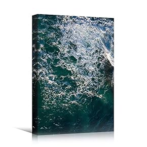 signwin Canvas Wall Art Coastal Aerial View Beach...