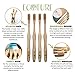 Premium Natural Bamboo Toothbrush - Eco Friendly and Biodegradable Toothbrushes w/Soft Bamboo Fiber and BPA Free Nylon Bristles - Organic Dental Care For Men and Women - 4 Pack by Ecoture