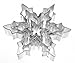 Ergonflow 5Pcs Snowflake Ice Crystal Cookie Cutter