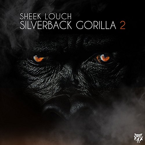 Sheek Louch - D-Block/Dipset Lyrics - Zortam Music