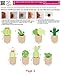Artec360 Needle Felting Kits for Beginners - 8 Cactus Kits with Gift Box - Instruction for Starter