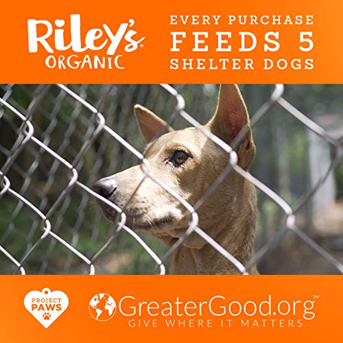 Riley's Organic Dog Treats - Small Bone Sweet Potato Dog Treats - USDA Organic, Certified Vegan and Non GMO Project Verified Dog Biscuits - 100% Human Grade - 9 Oz Carton