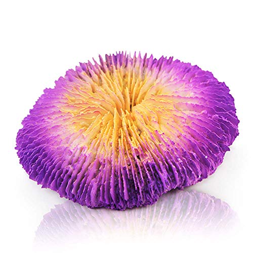 Danmu 1Pc of Polyresin Coral Ornaments, Aquarium Coral Decor for Fish Tank Aquarium Decoration 4.72″ x 4.72″ x 0.98″