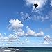 In the Breeze 2996 — Black Diamond Kite, 30-inch, Easy-Flying Kite for Kids, Teens, Adults