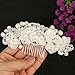 EVER FAITH Wedding Lace Flower Clear Crystal Ivory-Color Simulated Pearl Hair Comb