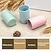 WARMLIFE Toothbrush Holder Natural Wheat Straw Anti-dust with 3 Cups Easily Wall Mounted Electric Toothbrush Storage Set