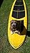 PUNT SURF Dog Traction Pad - 4 Piece Customizable Deck Grip for The Nose of Your Paddleboards, Longboards & Surfboards Guaranteed to Stick Forever on Your Board [Black]