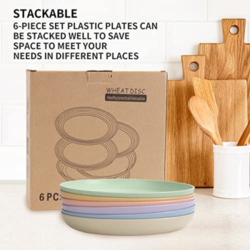 SGAOFIEE 6 PACK 10 Inch Lightweight Wheat Straw Plates, Unbreakable and