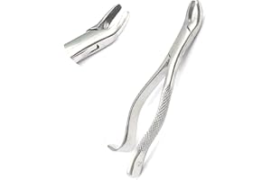 DDP Dental Extracting Forceps #24 Dental Instruments