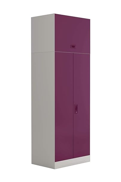 GODREJ INTERIO Slimline 2-Door Almirah with 4 Shelves (Textured Finish, Textured Purple)