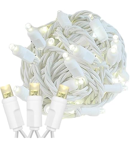 Novelty Lights 24ft Christmas String Lights, 70 Warm White LED