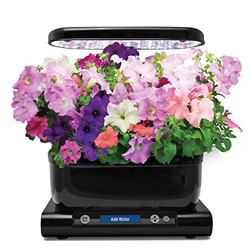 AeroGarden Cascading Petunia Seed Pod Kit (6Pod) 810705133879 eBay