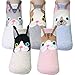 KONY Women's Girls Funny Crew Novelty Socks with Dogs Cats Owls Giraffe Cute Animals Printed Colorful Pattern (Lovely cats with Ear - 5 pairs)