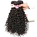 Beauty Forever Malaysian Curly Hair 3 Bundles with Lace Closure Free Part 4x4 Unprocessed Curly Virgin Human Hair Weave Natural Color (14 16 18 +12 Closure)