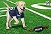 Pets First NFL New England Patriots Football Dog Toy, Tough Quality Nylon Materials, Strong Pull Ropes, Inner Squeaker, NFL Team Color
