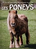 Les Poneys by