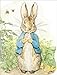 Peter Rabbit Large Shaped Board Book by beatrix-potter
