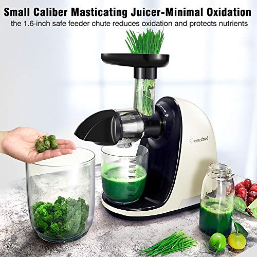 Slow Juicer,AMZCHEF Slow Masticating Juicer Extractor Easy to Clean, Cold Press Juicer Machines
