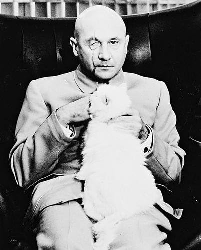 Moviestore Donald Pleasence Als Ernst Stavro Blofeld In You Only Live Twice 25x20cm Schwarzweiss Foto Amazon De Kuche Haushalt