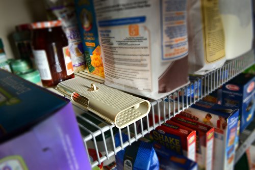 RESCUE! PMT2 Moth Trap Pantry and Birdseed, 2 Pack