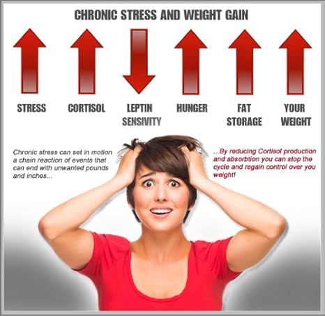 Image result for cortisol weight