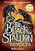 The Black Stallion Revolts