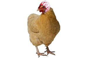 Mummumi Pet Hats, Protection Chicken Helmet Bird Hats Funny Pet Hen Headband Head Accessories for Chicken Duck Bird and More Small Animal (Flame)