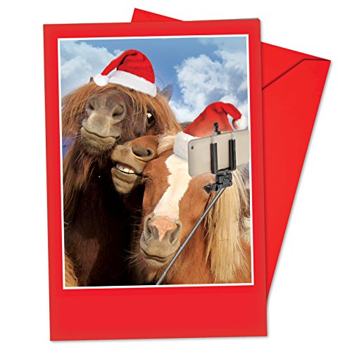 Horse Christmas Cards Kritters In The Mailbox Horse Christmas Card