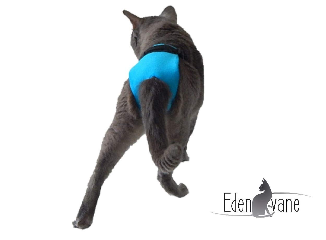 incontinent cat diapers