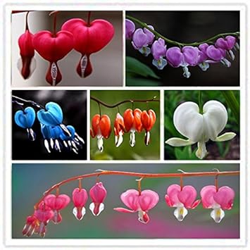 Amazon.com: ADB Inc 7 Tipo 2015 Venta caliente 150pcs ...